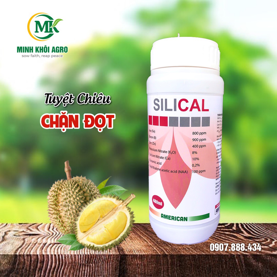 Phân bón lá SILICAL - Chai 480ml | Đẳng cấp chặn đọt